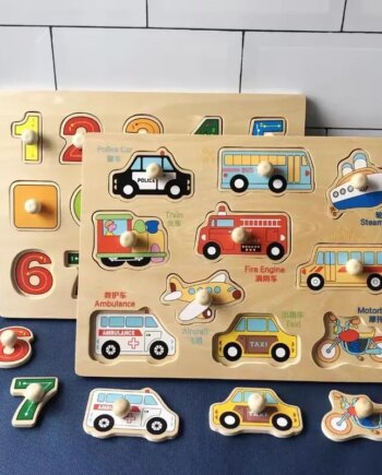 Wooden Puzzle Toys